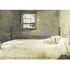 Master Bedroom Andrew Wyeth House Dog Sleeping on Bed Poster Print 19x15.75
