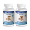 antioxidant Dog Treats - Advanced Immune System Support - CHEWABLE