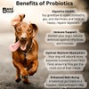 Probiotics For Dogs | 2 Billion CFU | Soothe Itchy
