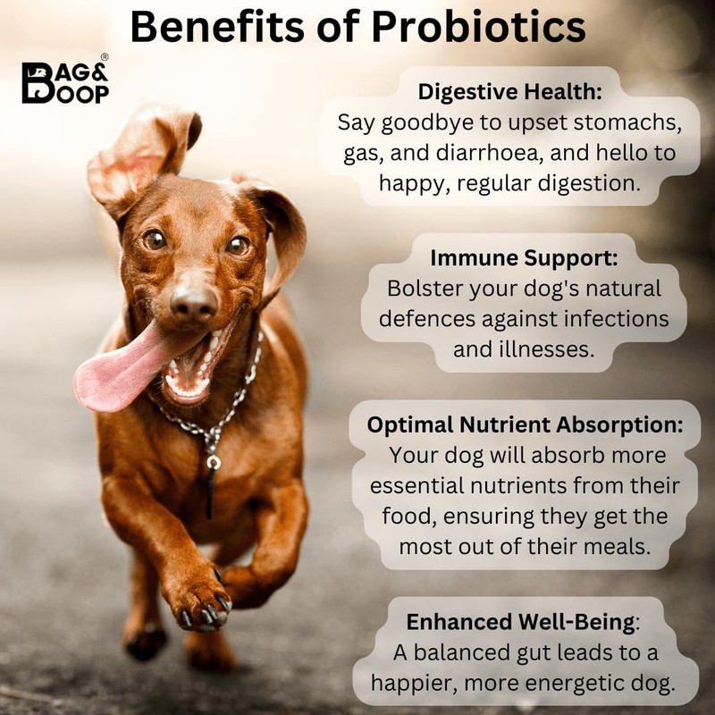 Probiotics For Dogs | 2 Billion CFU | Soothe Itchy