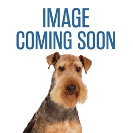 Chomper CHP Rope Braided Body Toy