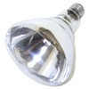 Little Giant® Bulb for Brooder Lamp | Heat Lamp |
