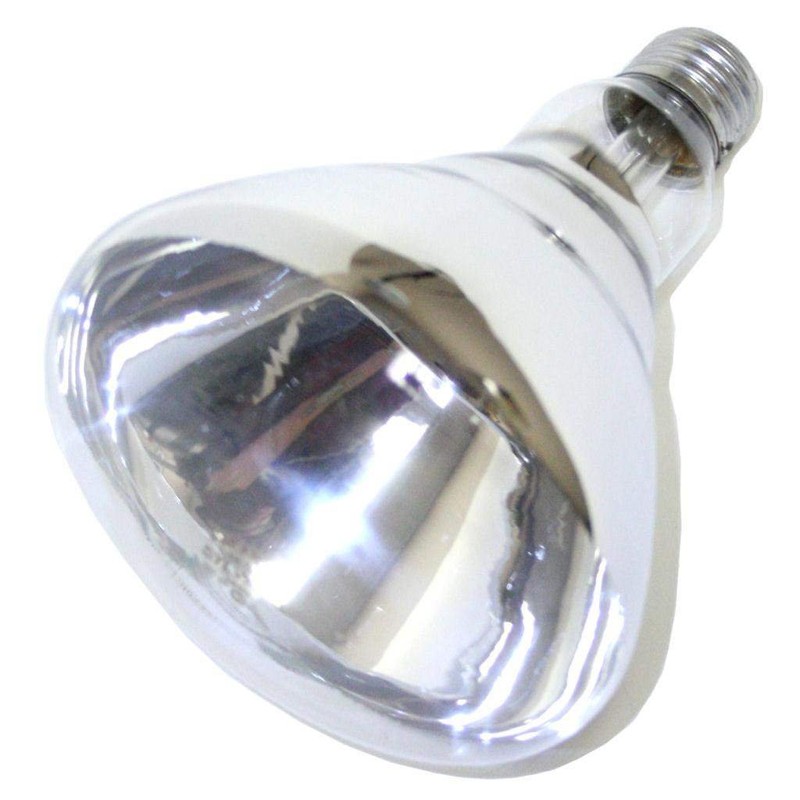 Little Giant® Bulb for Brooder Lamp | Heat Lamp |