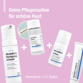 Aknederm Premium Set for Normal Skin - Set with Tincture/Cleansing Foam/Lotion/Cream H & Cleansing Pads - Natural Skincare Set - Ideal for Acne Treatment 780 g