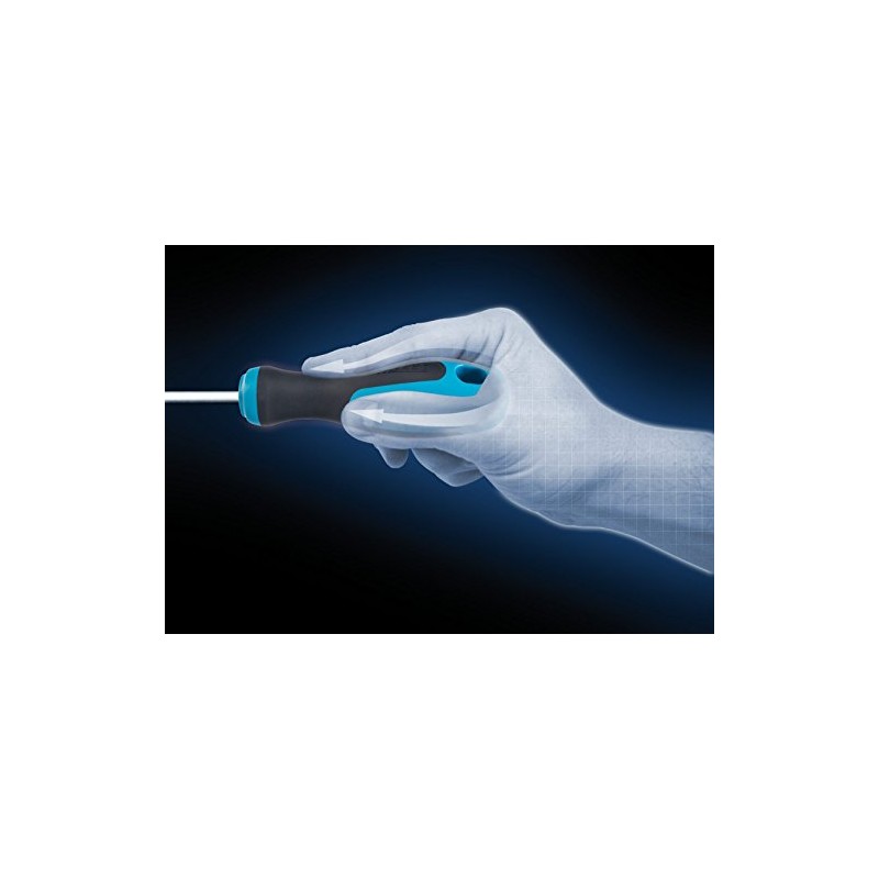 Hazet 810 Phillips PH0 Screwdriver (Black Mattverchromte Blade, Burnished Tip)