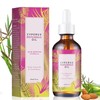 Cyperus Rotundus Oil, Aceite Natural de Cyperus Rotundus para la