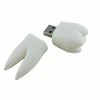 Ulticool - Tooth 8 GB USB - Dentist Dental Hygienist