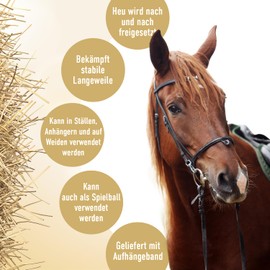 Hay Slowfeeder Fun & Flex Root - Hay Feeder for Horses - Suitable for Grazing Animals - Against Stable Decay - Promotes Health - Up to 1 kg Hay - Diameter 22 cm - Green