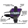in Training Service Dog Harness with Removable Saddle Bag Backpack