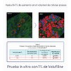Nano Recipe- Concentrado 100% Volufiline: Una poderosa solución no quirúrgica