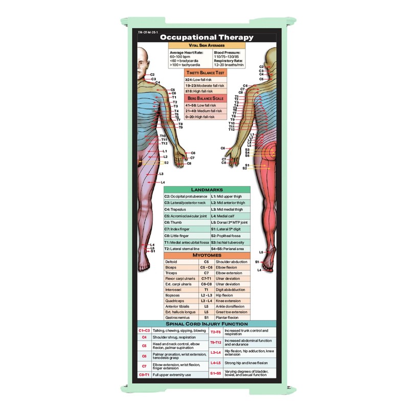 Whitecoat Clipboard® Trifold - Occupational Therapy Edition (Mint, Trifold)