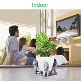 Pot feet for Outdoor planters, Planter Pot risers Indoor, Pot Elevators for Planters, 3 pcs Pack Lion Shaped Resin Pot Toes Improve Airflow and Drainage, Protector for Kinds of Heavy pots, patios