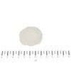 Canina Cellulose Powder Mix 400 g