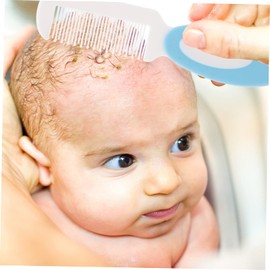 Hohopeti 2pcs Boy Girl Wool Hair Brush Gentle Massaging Bath Brush for Boy Girl Grooming Comfortable Ergonomic Handle Promotes Relaxation and Scalp Health for Boy Girl