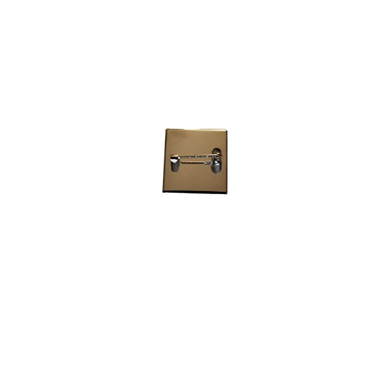 Pan-African Silver Colour Square Badge With A Velveteen Bag
