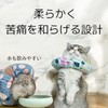 Product Image: Waterproof Elizabeth color, after surgery, licking, adjustable size,
