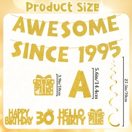 30th Birthday Decorations, Happy Birthday Banner, 32 PCS 30th Birthday Party Decorations with 16 Letters Banner 8 Hanging Swirls 8 Small Hangers, Since 1995 Banner for 30 Years Old Birthday Decor