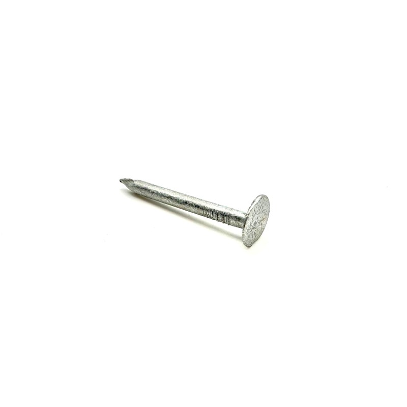 Clout Nails Galvanised Large Head (200g Pack) Roofing Felt Nail