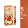 Hem Cinnamon Apple Incense Sticks (120 Sticks, 6 Boxes Inside)
