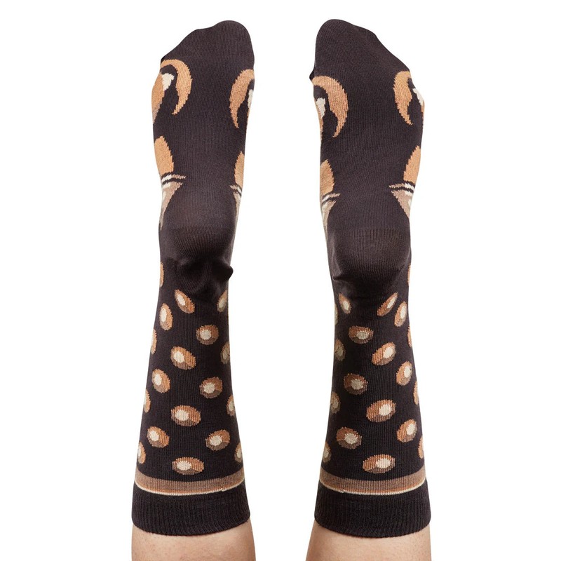 Wilson Payne Down Under Socks - Caramello Bear, 8-11