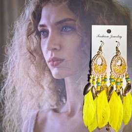 Western-style Bohemian feather pendant earrings (1)