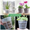 Dwitkul 5 Pezzi Vaso Trasparente per Orchidee, Vasi per Orchidee