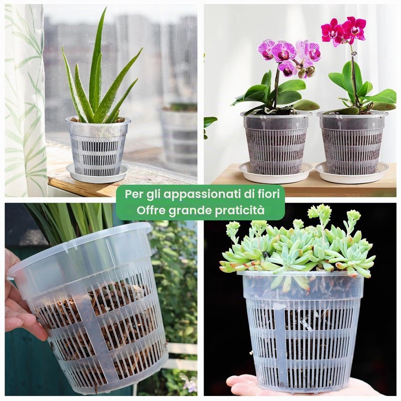 Dwitkul 5 Pezzi Vaso Trasparente per Orchidee, Vasi per Orchidee