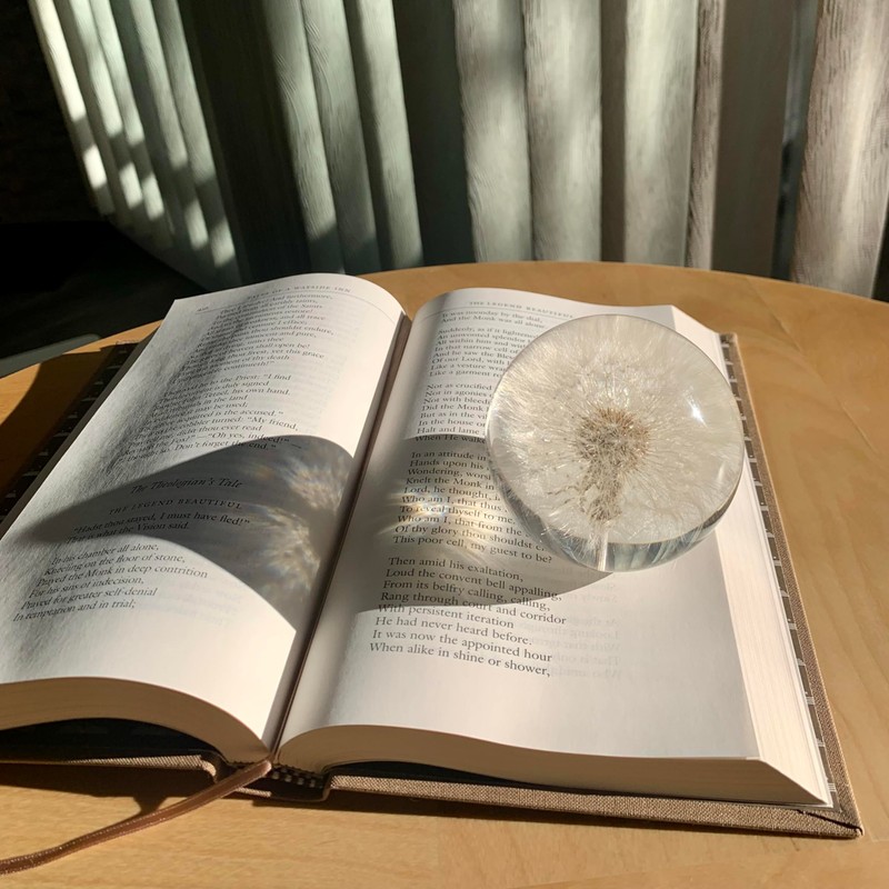 NouvoCrescent Real Dandelion Paperweight - Home Decor Crystal Resin Ball