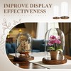Suclain 2 Pcs Glass Display Dome Cloche 10” 7” Tall
