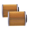 IEQFUE 0800-011300 - Filtro de aceite compatible con Cforce Zforce