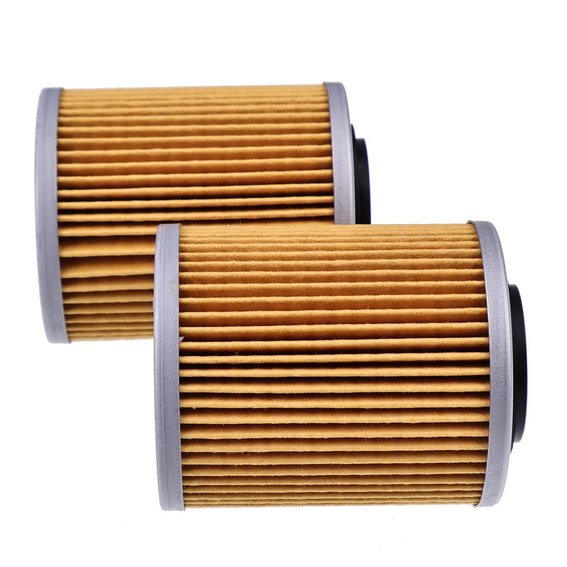 IEQFUE 0800-011300 - Filtro de aceite compatible con Cforce Zforce