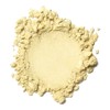 Kylie's Professional Mineral Goddess Loose Foundation, Enchant 8g