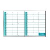 Pirongs Page-a-day 2024-2025 Green Academic Diary (Slightly wider than A5)