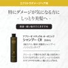 Abreze CR Series Shampoo, Beauty Salon Exclusive Product, Extra Damage