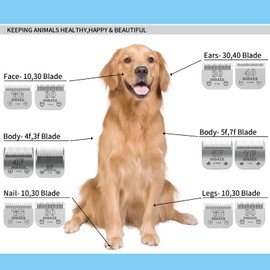 7F/5F/4F/3F Ceramic Blades for Dog Hair Trimmers, Compatible with Moser 45-50/Heiniger/Andis/Oster A5/Wahl KM10 Series, Cutting Length 1/8 Inch (3.2 mm) to 1/2 Inch (13 mm)