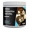 Fibra Prebiotica Natural Para Perro Y Gato Salud Intestinal