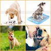 Pet Training Bell, 1 Pack Call Bell for Dog or