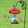 Outdoor Baffle for Bird Feeder Clear Bird Feeder Protective Dome