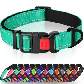 Taglory Reflective Nylon Dog Collar with Safety Buckle, Adjustable Pet Collars with Soft Neoprene Padding for Puppy Dogs, XS, Turquoise