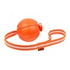 COLLAR Liker Motivational/Interactive Toy for Pets Dogs with a Ribbon