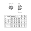 1/4"-20 Acorn Cap Nuts, Stainless Steel 18-8 (304) Acorn Cap