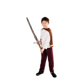 Fun Shack Child Viking Boy Costume - AGE 10 - 12 YRS (XL)
