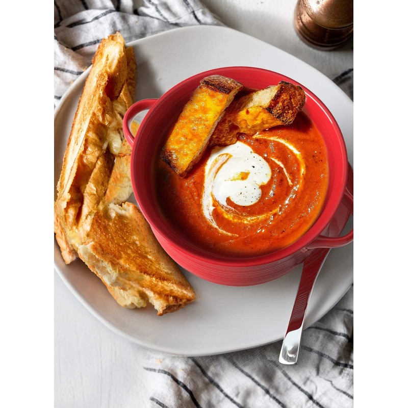 LE TAUCI Soup Bowls with Handles, Ceramic French Onion Soup