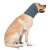 DDFS Quiet Ears Noise Cancelling Dog Head Wrap for Ear