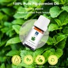 GM Gumili Peppermint Essential Oil - 100% Pure Aromatherapy Oil