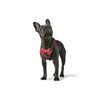 HUNTER Divo Dog Harness, L, 72–100 cm, Red/Grey