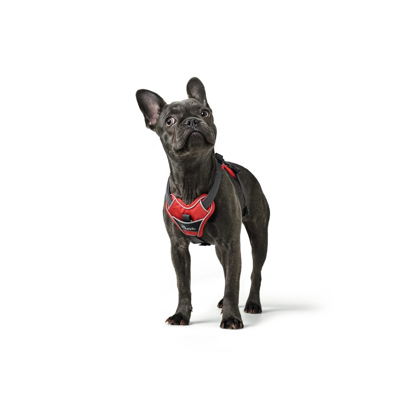 HUNTER Divo Dog Harness, L, 72–100 cm, Red/Grey