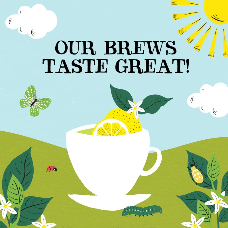 Clipper Tea Green Tea & Lemon Teabags – USDA Organic,