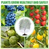 9 Pack Insect Bird Netting Cover for Garden - 3