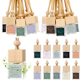 Funnymoom 30 Pcs Team Gift Bulk Appreciation Gifts Car Air Freshener Diffuser Hanging Car Empty Glass Essential Oil Diffuser Christmas Thank You Gifts for Coworker Teachers Pharmacist Staff